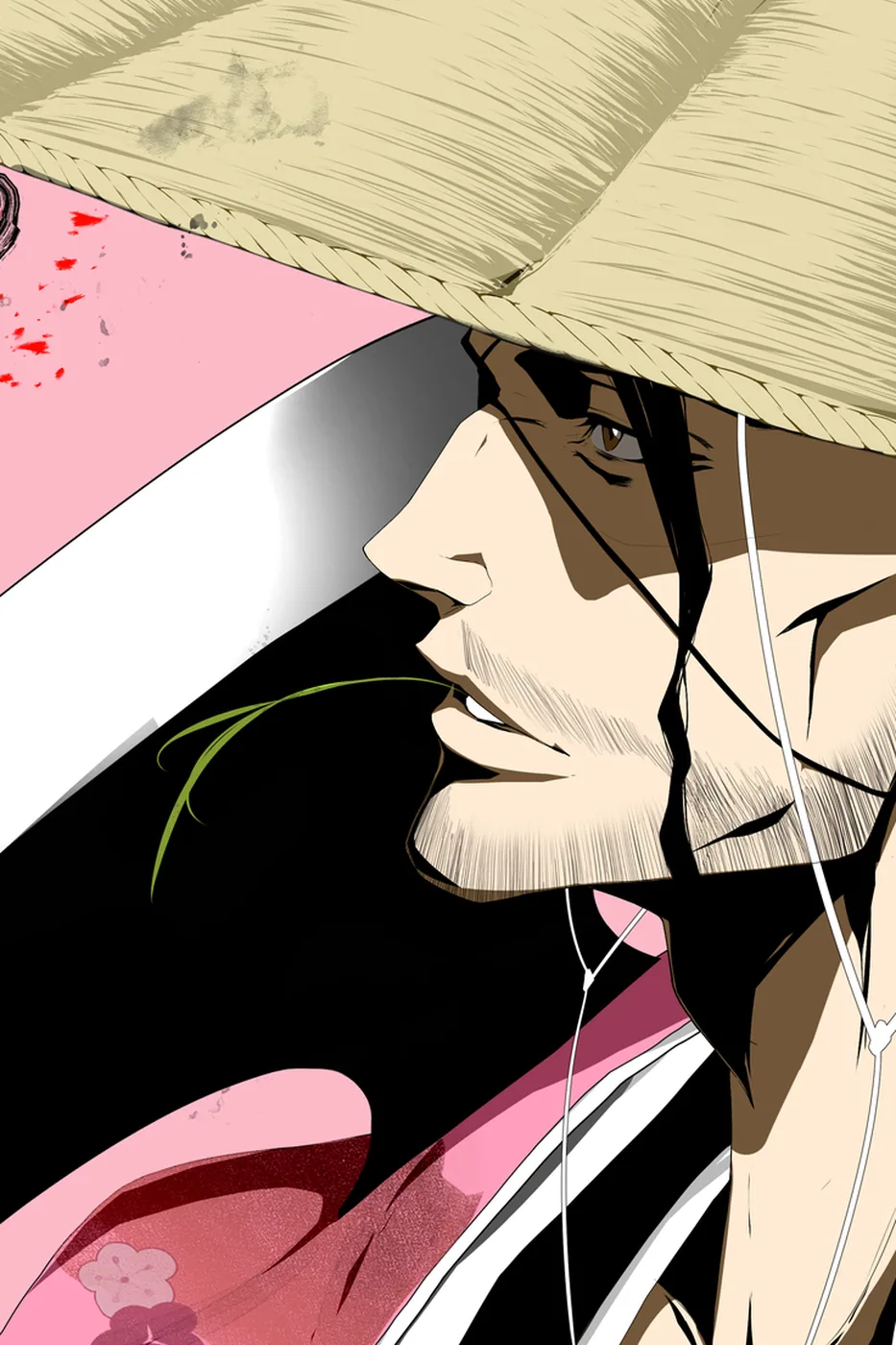 Close-up detail of the Shunsui Kyoraku artwork